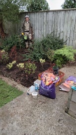 Garden Maintenance in Whanganui.
