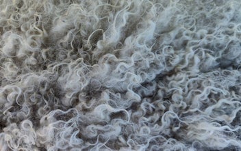 Listing 2 of 6 for ORGANIC Wool - Natural Grey - Carded - 1kg