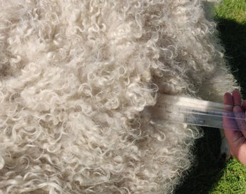 Listing 4 of 5 for ORGANIC Wool - White - Carded - 1kg