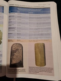 Listing 7 of 19 for NIV Study Bible