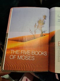 Listing 8 of 19 for NIV Study Bible