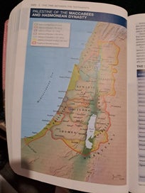 Listing 10 of 19 for NIV Study Bible