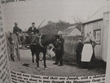 Listing 9 of 10 for Palmerston North Scandinavian History - Mosquitoes & Sawdust Settler Records