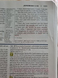 Listing 19 of 19 for NIV Study Bible