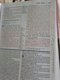 Listing 17 of 19 for NIV Study Bible