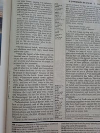 Listing 18 of 19 for NIV Study Bible