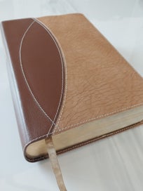 Listing 2 of 20 for Today's New International Version - Study Bible