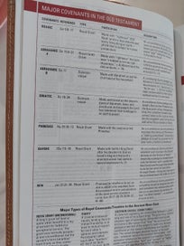 Listing 9 of 20 for Today's New International Version - Study Bible