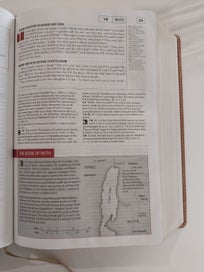 Listing 10 of 20 for Today's New International Version - Study Bible