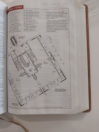 Listing 11 of 20 for Today's New International Version - Study Bible