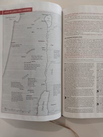 Listing 14 of 20 for Today's New International Version - Study Bible