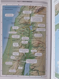 Listing 16 of 20 for Today's New International Version - Study Bible