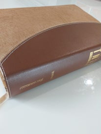 Listing 18 of 20 for Today's New International Version - Study Bible