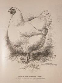 Listing 14 of 19 for Very Rare 1910 First Edition Poultry Book. The Wyandottes; J.H Drevenstedt
