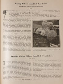 Listing 19 of 19 for Very Rare 1910 First Edition Poultry Book. The Wyandottes; J.H Drevenstedt
