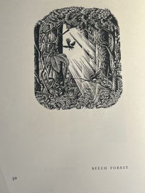 Listing 19 of 20 for Engravings on Wood - E. Mervyn Taylor