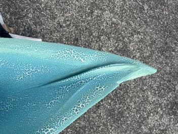 Listing 7 of 7 for Merilyn Wiseman - Pacific Rim Sculpture