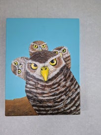 Listing 2 of 4 for "Little burrowing owls " by MAG.