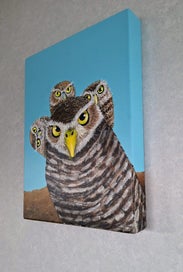 Listing 3 of 4 for "Little burrowing owls " by MAG.