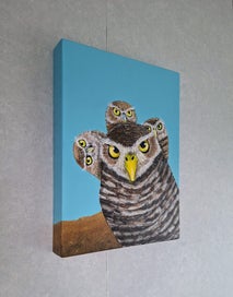 Listing 4 of 4 for "Little burrowing owls " by MAG.
