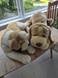 Listing 3 of 3 for 2 Cuddly Toy Dogs