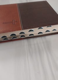 Listing 2 of 20 for The Prophecy Study Bible