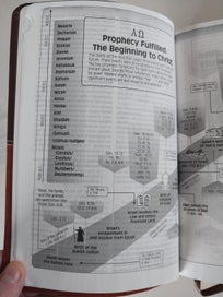 Listing 7 of 20 for The Prophecy Study Bible