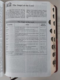 Listing 11 of 20 for The Prophecy Study Bible