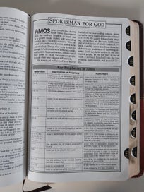Listing 12 of 20 for The Prophecy Study Bible