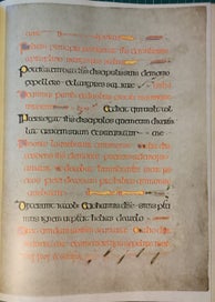 Listing 16 of 16 for The Book of Kells (facsimile)