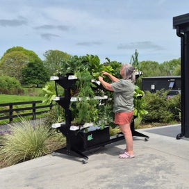 NZ Hydroponics Business For Sale | Designed &amp; Manufactured in New Zealand