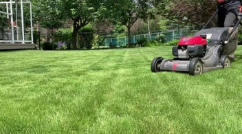 Established Lawn Mowing Business For Sale