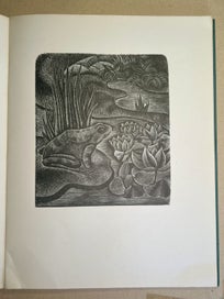 Listing 7 of 20 for Engravings on Wood & The Legend of Io Engravings on Wood. Rona Dyer