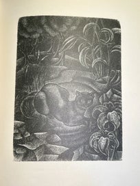 Listing 11 of 20 for Engravings on Wood & The Legend of Io Engravings on Wood. Rona Dyer