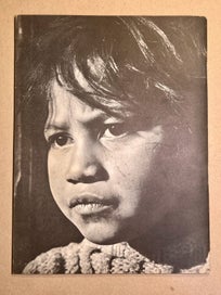 Listing 10 of 10 for Washday at the Pa. By Ans Westra 1964