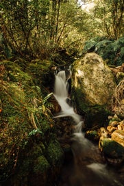 Listing 8 of 9 for Maruia River Retreat 1 Night Food & Nature Stay - Supporting St John Appeal