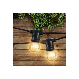 Listing 6 of 6 for Festoon String Lights Christmas 50 Metres