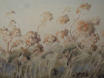 Listing 11 of 19 for Reg Burrage (OBE DFC) - Evening Incandescence Torrumbarry Lagoon Murray River