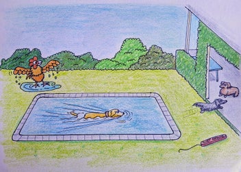 Listing 9 of 13 for Introducing the Adventures of Marge the Rooster and friends book series