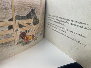 Listing 13 of 13 for Introducing the Adventures of Marge the Rooster and friends book series