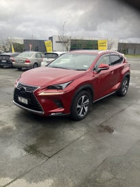Lexus Nx 300 2019 photo 2