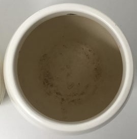Listing 10 of 10 for Vintage Ernest Shufflebotham Hand-Potted Crown Lynn Vase x2