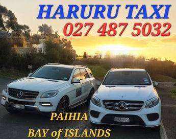 Listing 5 of 11 for mercedes benz ?? 4x4 tour cape reinga & ninety mile beach ??