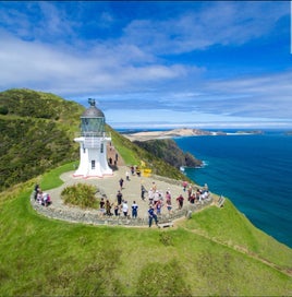 Listing 11 of 11 for mercedes benz ?? 4x4 tour cape reinga & ninety mile beach ??