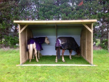 Horse And Pony Shelters Steves Shelters Trade Me