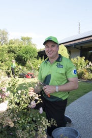 Lawn mowing Business for sale