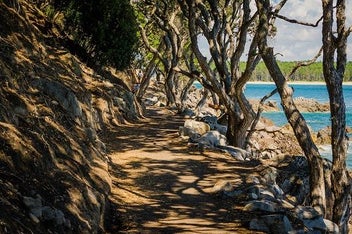 Listing 4 of 6 for Wooden Wave Art Kiwiana Mount Maunganui Tauranga Canvas. PRICE REDUCED