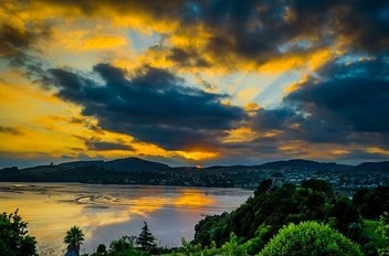 Listing 5 of 6 for Wooden Wave Art Kiwiana Mount Maunganui Tauranga Canvas. PRICE REDUCED