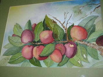 Listing 7 of 19 for L Huggard - Plums On The Tree - A very good original watercolour painting