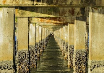 Listing 6 of 6 for Wooden Wave Art Kiwiana Mount Maunganui Tauranga Canvas. PRICE REDUCED